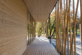 Holzbau Atlas DE