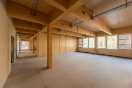 Holzbau Atlas DE