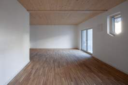 Holzbau Atlas DE