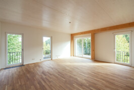 Holzbau Atlas DE