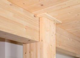 Holzbau Atlas DE