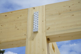 Holzbau Atlas DE