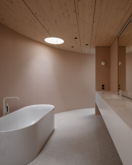 Holzbau Atlas DE