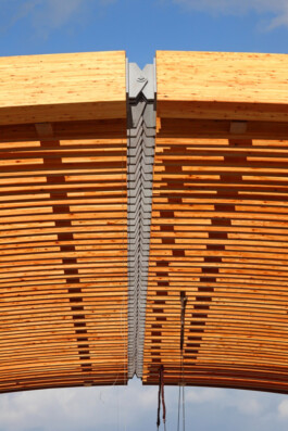Holzbau Atlas DE