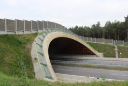 Holzbau Atlas DE