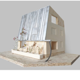 Holzbau Atlas DE