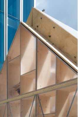 Holzbau Atlas DE