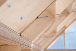 Holzbau Atlas DE