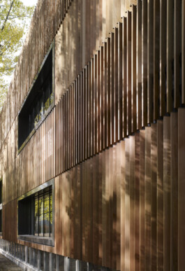 Holzbau Atlas DE