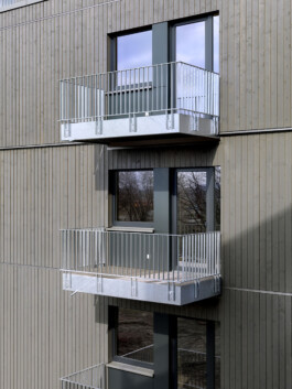 Holzbau Atlas DE