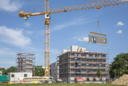 Holzbau Atlas DE