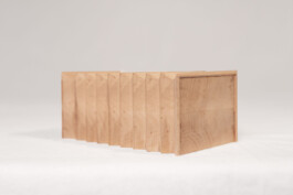 Holzbau Atlas DE