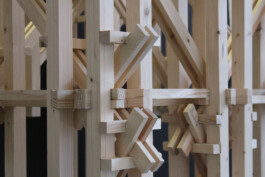 Holzbau Atlas DE