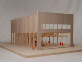 Holzbau Atlas DE