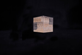 Holzbau Atlas DE