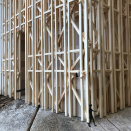 Holzbau Atlas DE