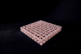 Holzbau Atlas DE