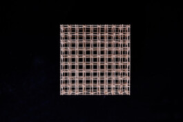 Holzbau Atlas DE
