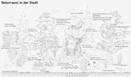 Holzbau Atlas DE