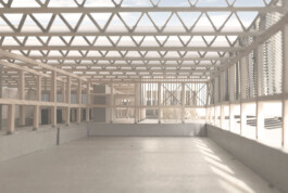 Holzbau Atlas DE