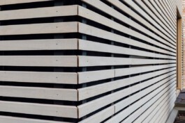 Holzbau Atlas DE