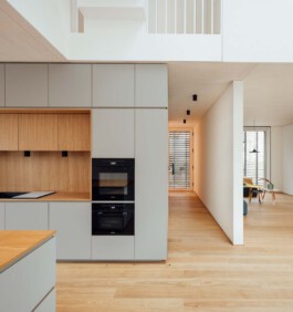 Holzbau Atlas DE