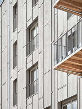 Holzbau Atlas DE