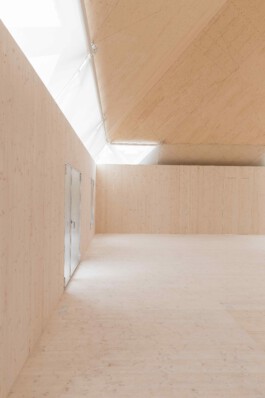 Holzbau Atlas DE