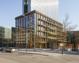 Holzbau Atlas DE