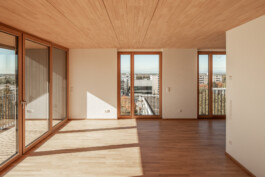 Holzbau Atlas DE
