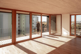 Holzbau Atlas DE