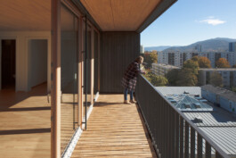 Holzbau Atlas DE
