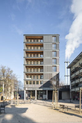 Holzbau Atlas DE
