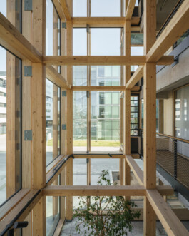 Holzbau Atlas DE