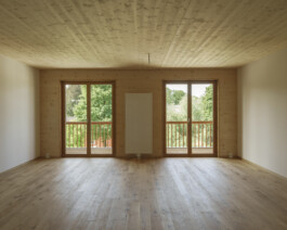 Holzbau Atlas DE