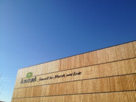 Holzbau Atlas DE