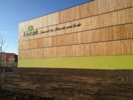 Holzbau Atlas DE