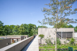 Holzbau Atlas DE