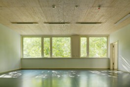 Holzbau Atlas DE