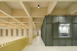 Holzbau Atlas DE