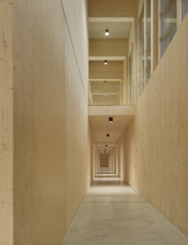 Holzbau Atlas DE