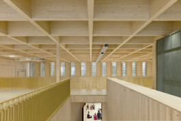 Holzbau Atlas DE